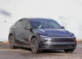 Tesla Japan success