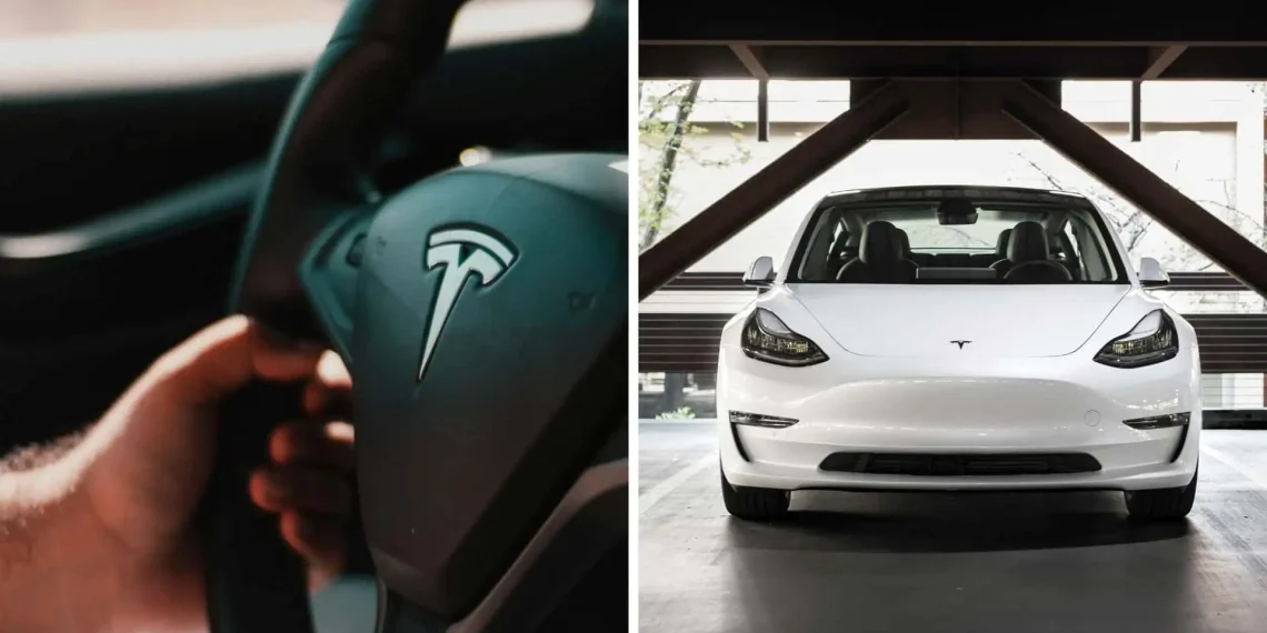 Tesla Owner Documents Battery
