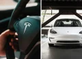 Tesla Owner Documents Battery
