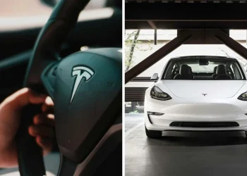 Tesla Owner Documents Battery