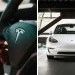 Tesla Owner Documents Battery